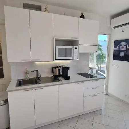 2p Terrasse Croisette 100 Meters Apartment Cannes